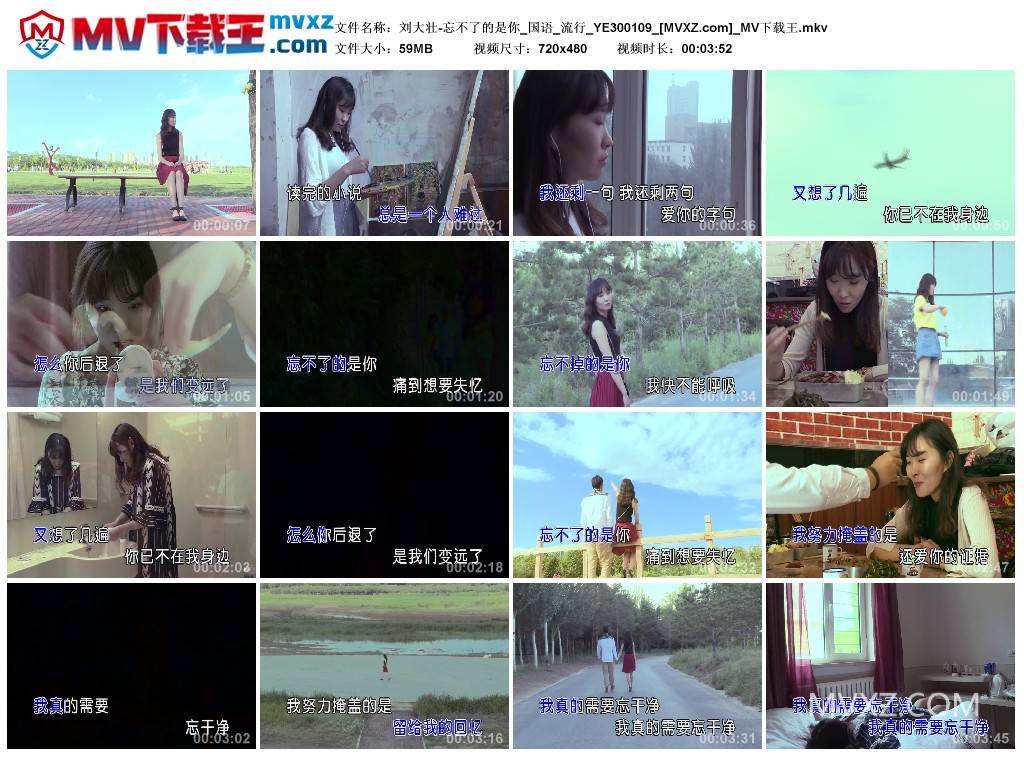 刘大壮-忘不了的是你_国语_流行_YE300109